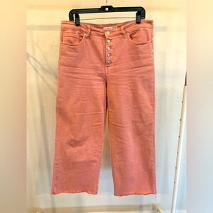 ALTAR’D STATE Button up ankle jeans size 31